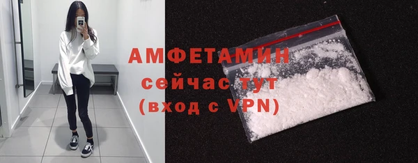 дмт Алагир