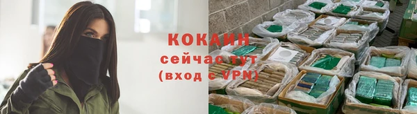 герыч Пестово