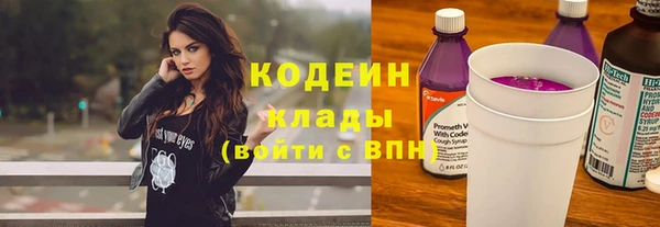дурь Пересвет
