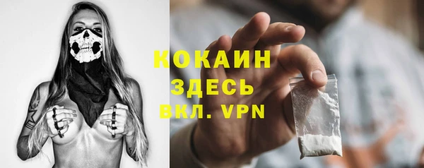 дурь Пересвет