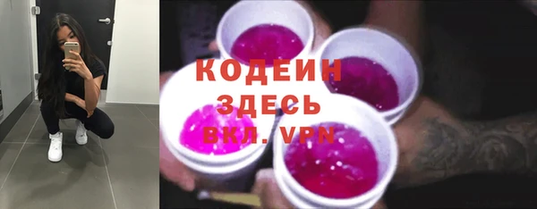 дурь Пересвет