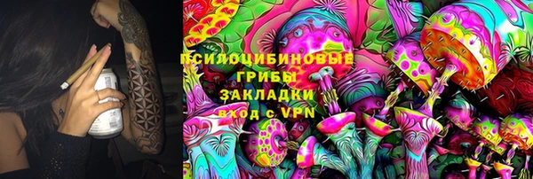 дурь Пересвет