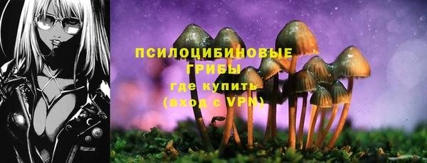 дурь Пересвет