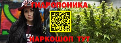 гидропоника Дубна