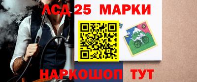 гидропоника Дубна