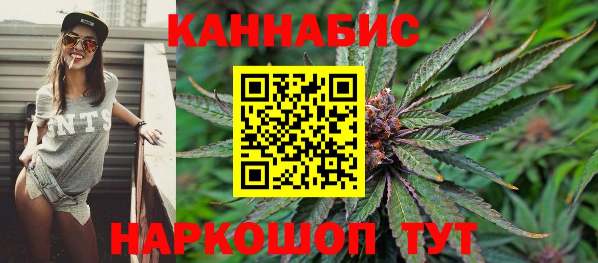 Бошки Шишки планчик Кропоткин